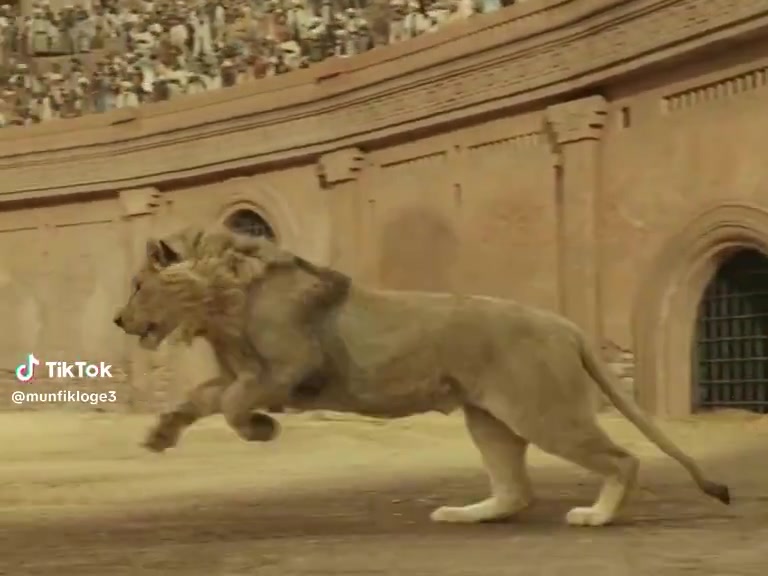 Although He is blind, He killed Lion | Action Movie